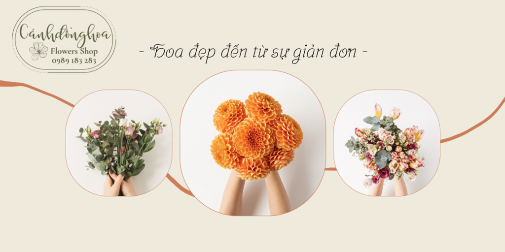 Banner Cánh Đồng Hoa