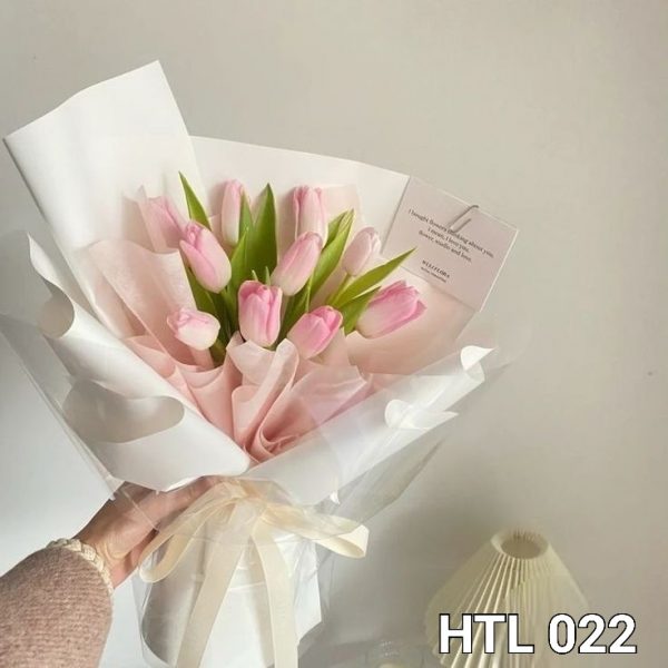 Tulip - Không Gian Sáng Sủa