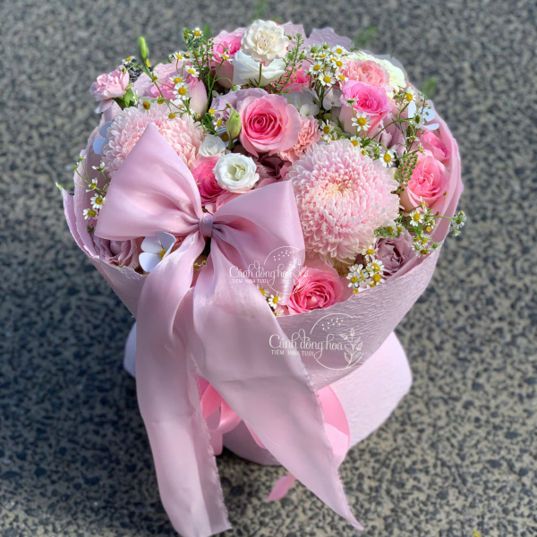 Dịu Dàng Kiêu Sa